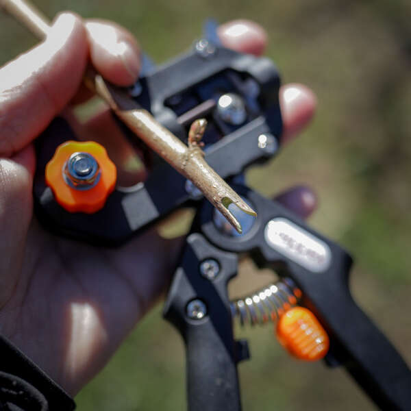 Pruning tool for fruits - Reppex - AI WEB SHOP