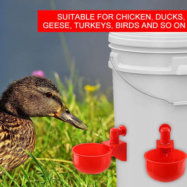 Set for automatic water provision for poultry - PoulCups - AI WEB SHOP