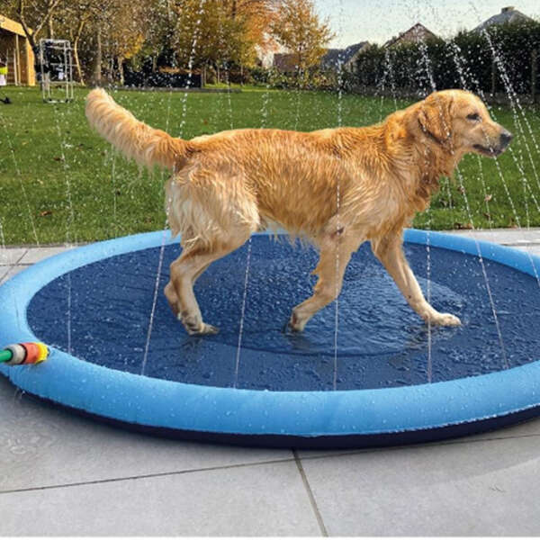 Pool with fountain for kids and pets - Waterlark - AI WEB SHOP