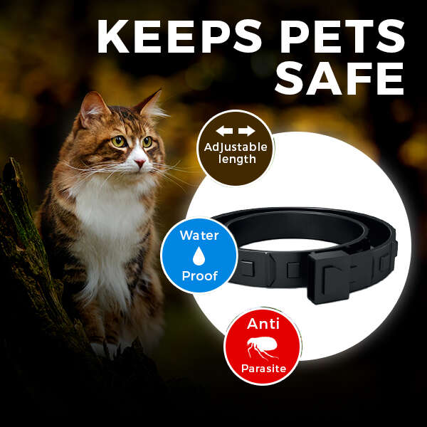 Anti-parasite collar for pets - Kantick Plus - AI WEB SHOP