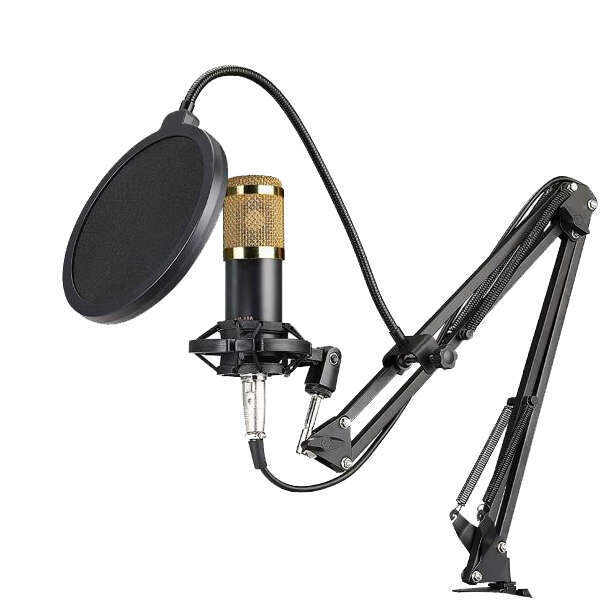 Professional studio microphone - Stadroom - AI WEB SHOP