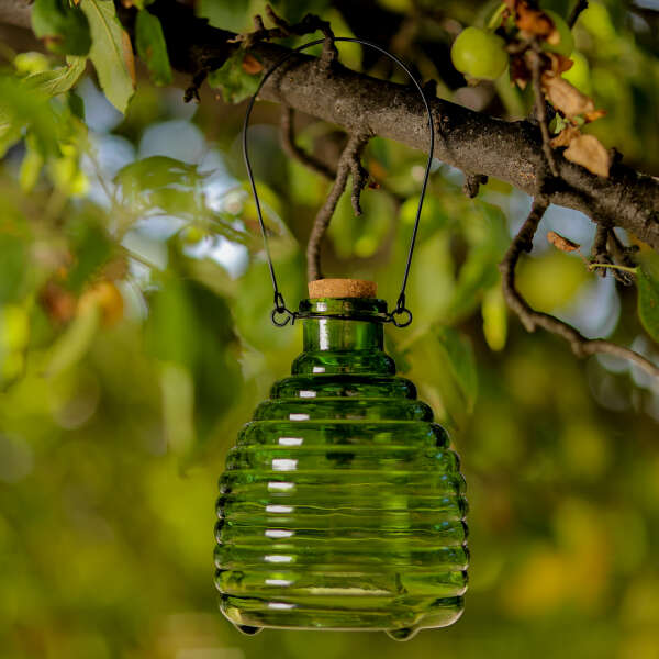 Glass wasp trap - Trapo - AI WEB SHOP