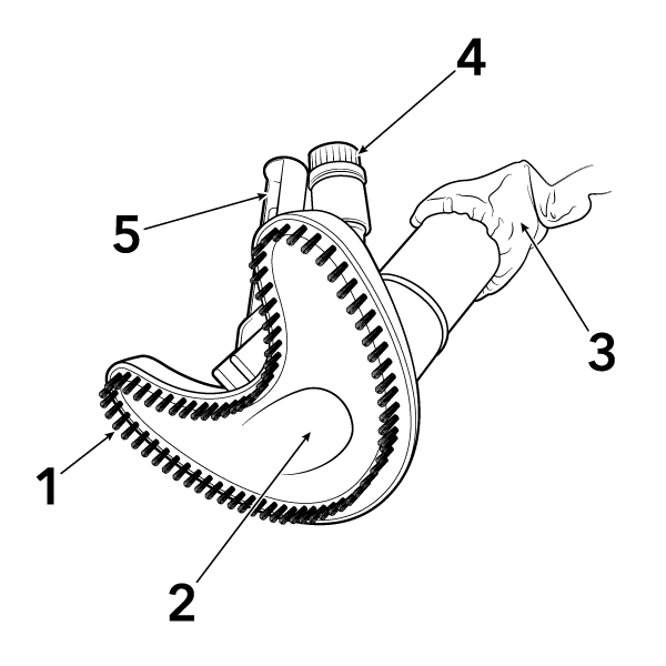 Image_7