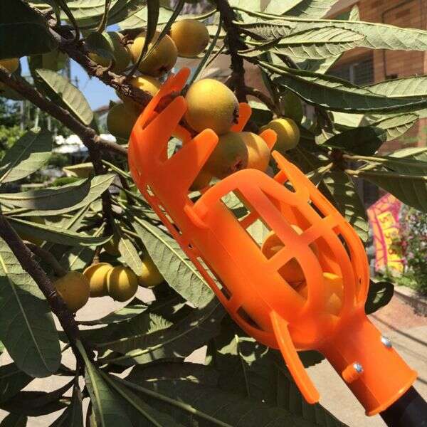 Fruit picker tool - Kuster - AI WEB SHOP